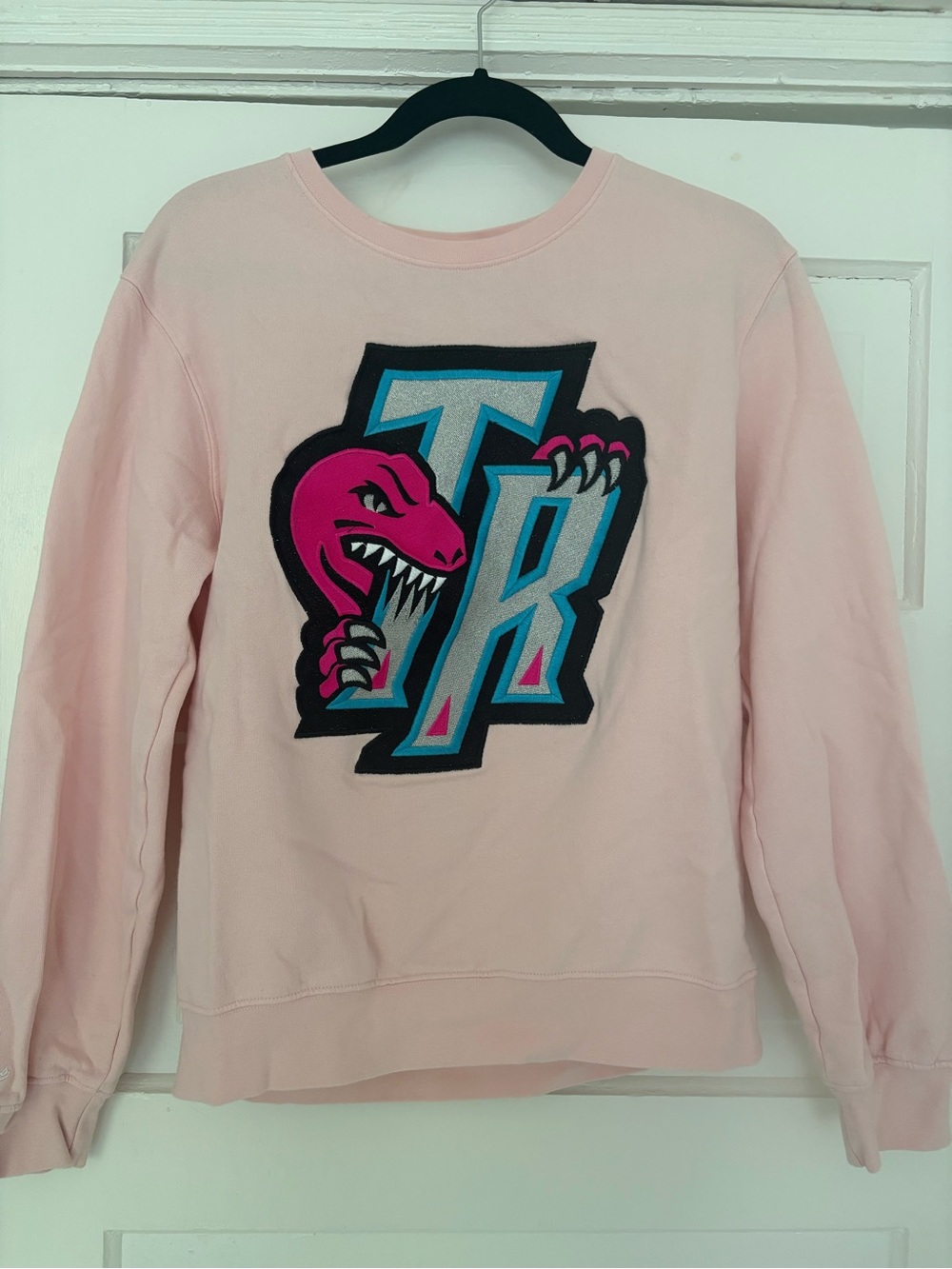 Pink Raptors Sweater - Women's